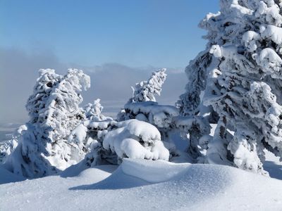 Südharz Urlaub im Winter, Schneelandschaft